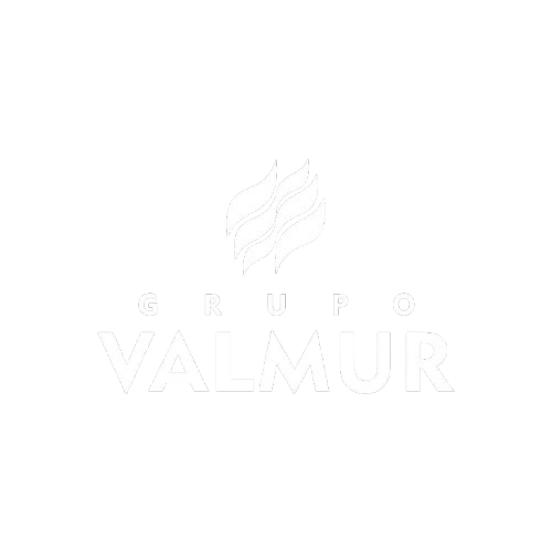 GRUPO VALMUR LOGO